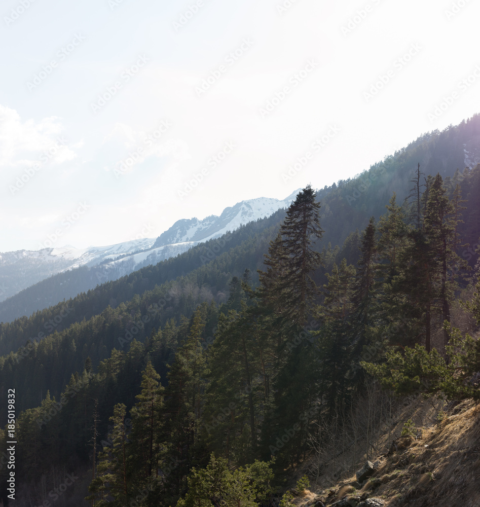 Obraz premium Mountains landscape summer season.