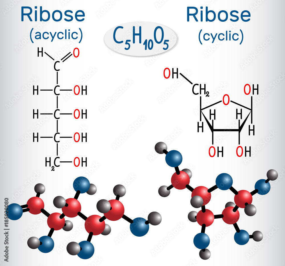 Ribose Molecular Structure
