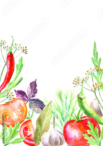 Fototapeta Naklejka Na Ścianę i Meble -  Pattern of a spices and herbs.Vegetables for canning.Picture of a pepper, garlic, tomato,rocket, bay leaf, cloves,allspice.Ingredients for cooking.Watercolor hand drawn illustration.White background.