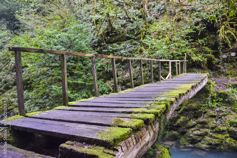 wooden bridge over the blue river old moss jungle wooden bridge over the blue river old moss jungle