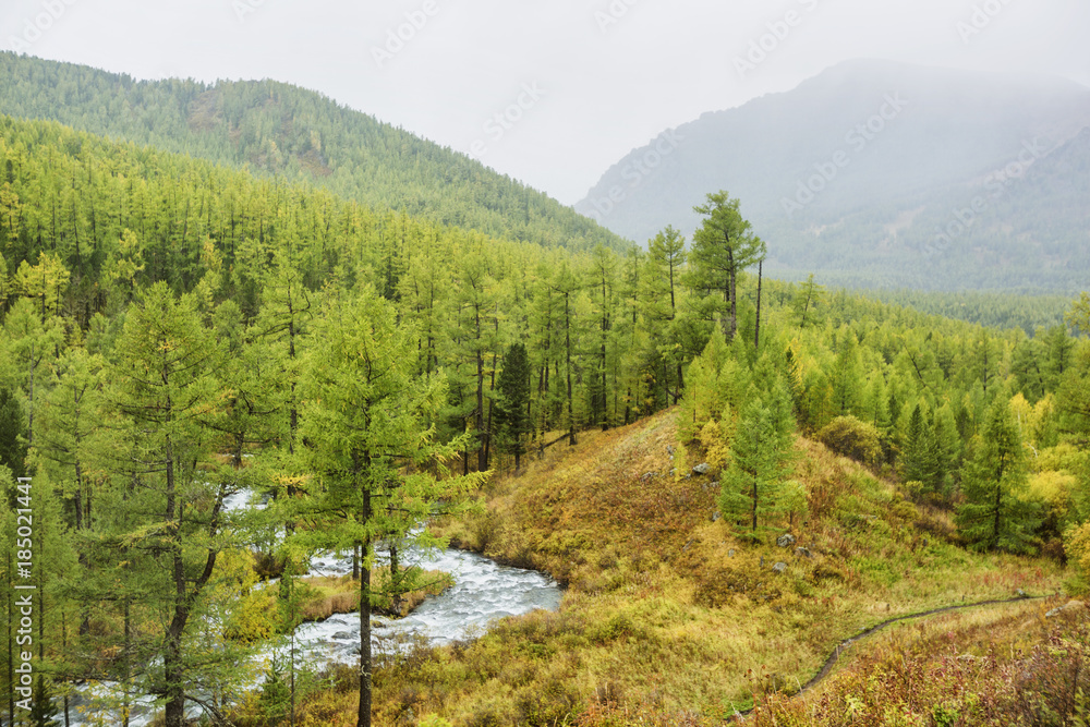 Fototapeta premium River in Kuiguk Valley. Altai mountains autumn landscape