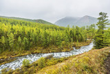 River in  Kuiguk Valley. Altai mountains autumn landscape