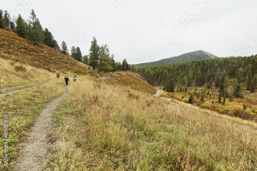 Trail in mountain walley. Altai trekking