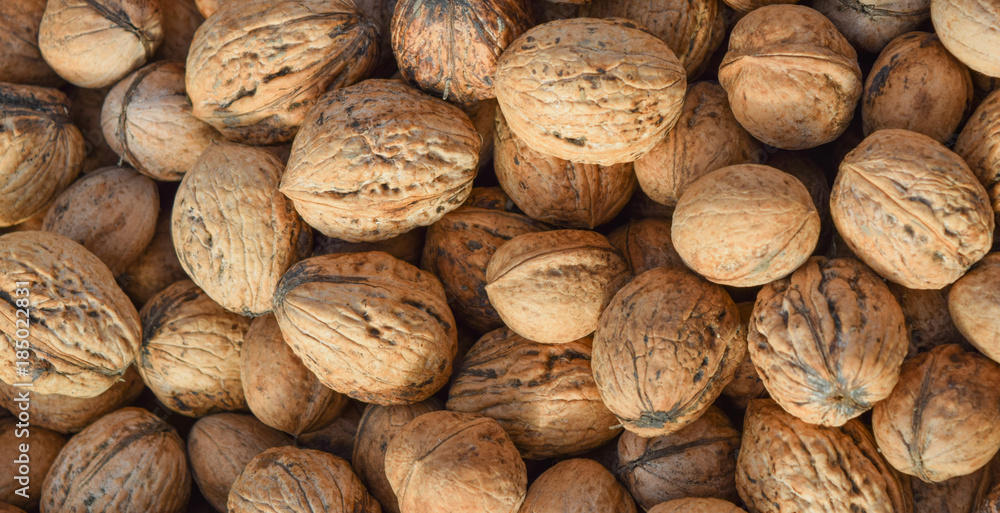 lot of walnuts lot of walnuts