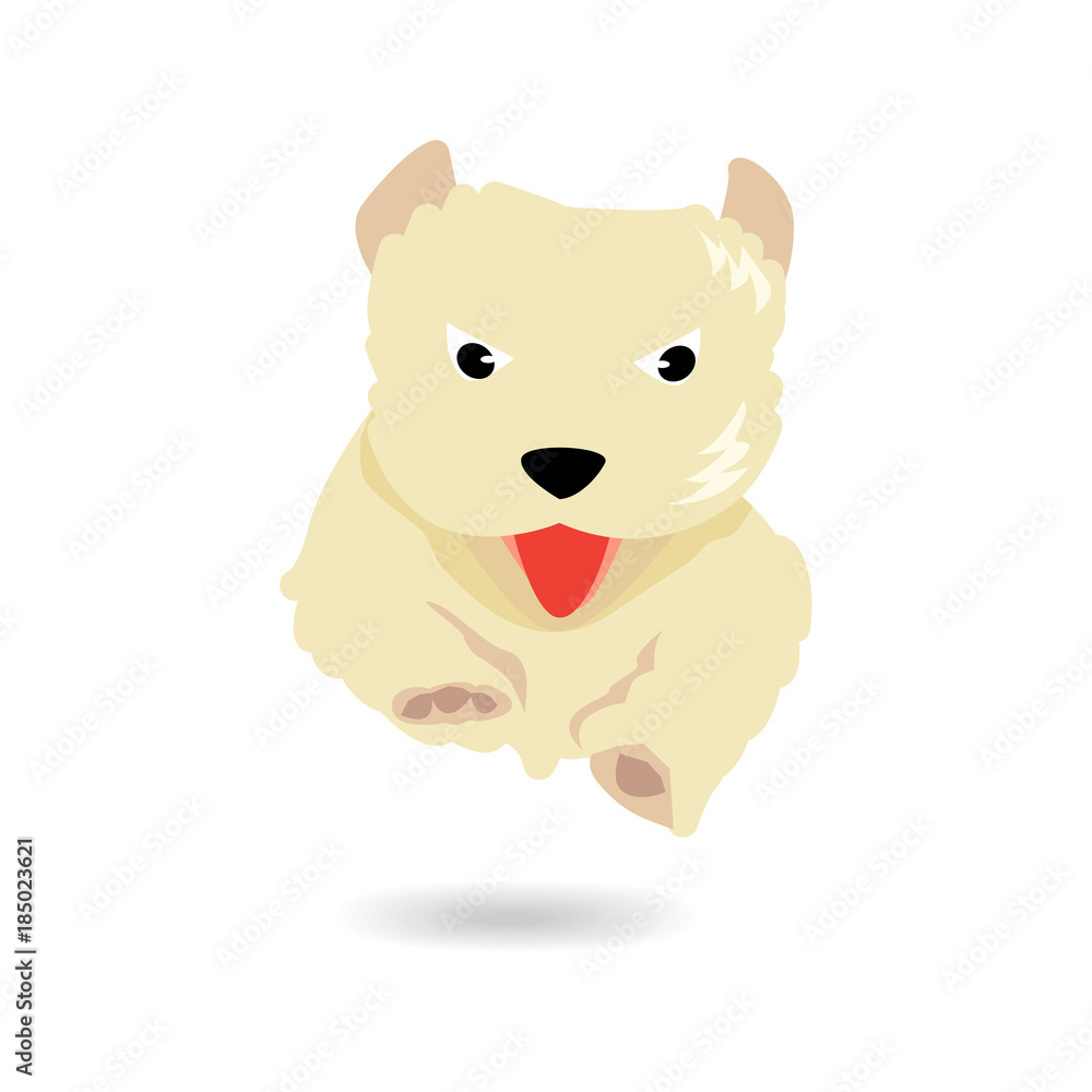 Fototapeta premium Cute yellow dog jumping and flying over floor
