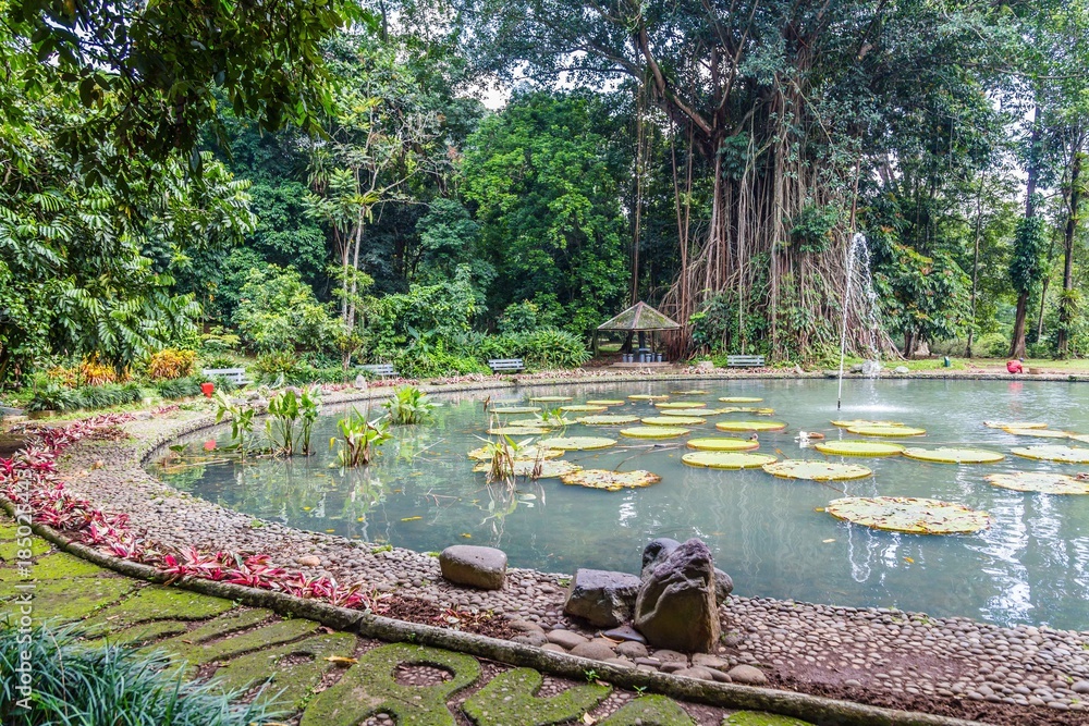 Obraz premium Botanical gardens Kebun Raya in Bogor, West Java, Indonesia