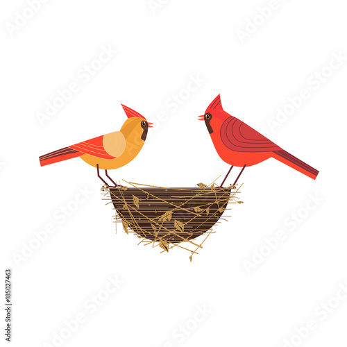 Cute Red Northern cardinal couple icon. Comic simple flat cartoon. Winter birds on nest in backyard, city garden wonderland. Stylized funny bird. Template for vector scavenger hunt card background