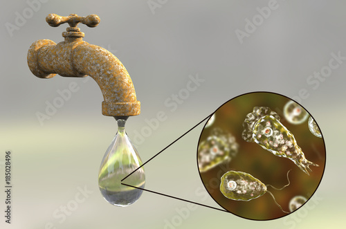 Brain-eating amoeba awareness concept. 3D illustration showing potential way of aquiring infection during ritual nasal rinsing. Trophozites of Naegleria fowleri can be present in dirty tap water photo