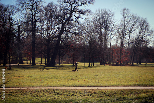  afternoon backlight in a sunny December day at Englischer Garten in Munich, man strolls in relax with his dog