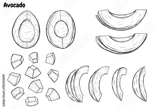Avocado vector by hand drawing.Avocado set on white background.Vegetable sketch art highly detailed in line art style