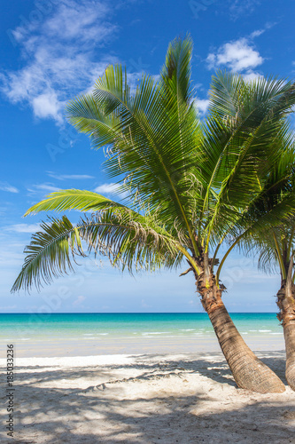 Fototapeta Naklejka Na Ścianę i Meble -  Palm trees on beautiful tropical beach on Koh Kood island in Thailand