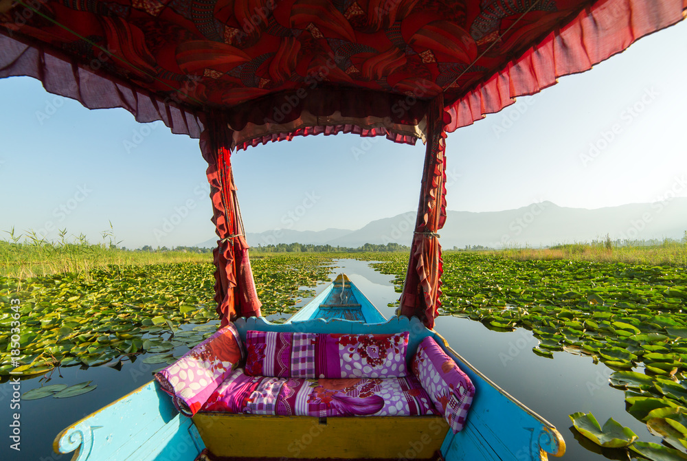 Fototapeta premium Beautiful view from the traditional shikara boat on Dal lake, Srinagar, India.