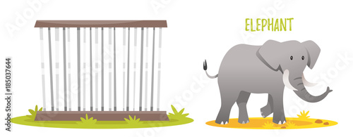  illustration of elephant