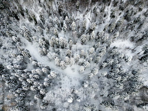 Aerial view of snow covered forest in winter in Switzerland, Europe