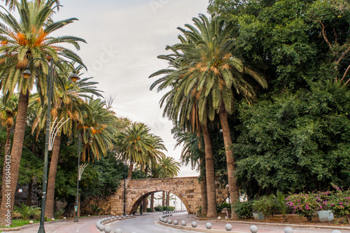 medieval bridge in Kos town , Greece