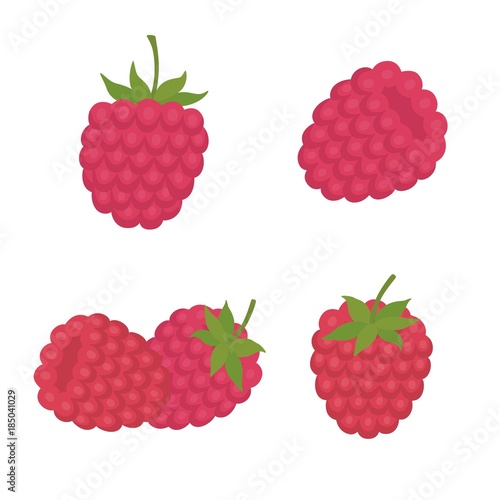 sweet berry a raspberry