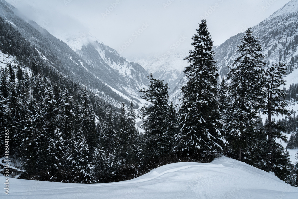 Fototapeta premium alps #1.