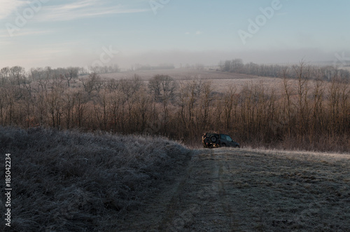 frosty frozen grass in winter time, cold morning in nature blue, sunshine through trees