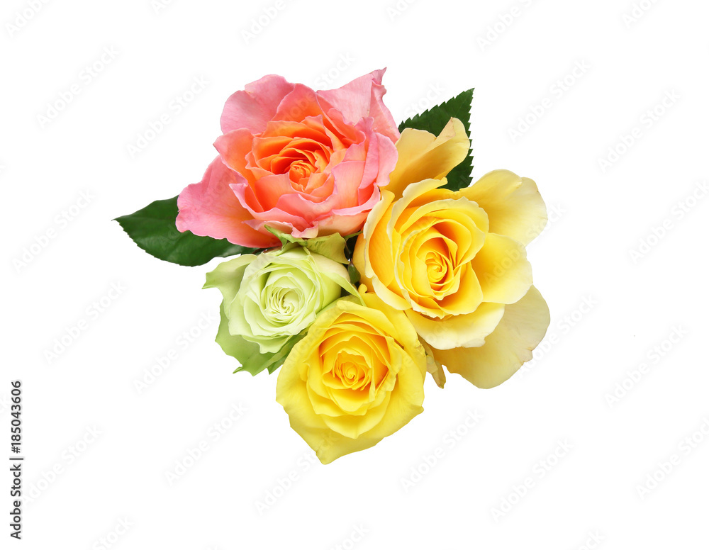 Obraz premium 薔薇の花束