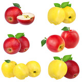 Fresh red and yellow apples isolated on white background with clipping path set