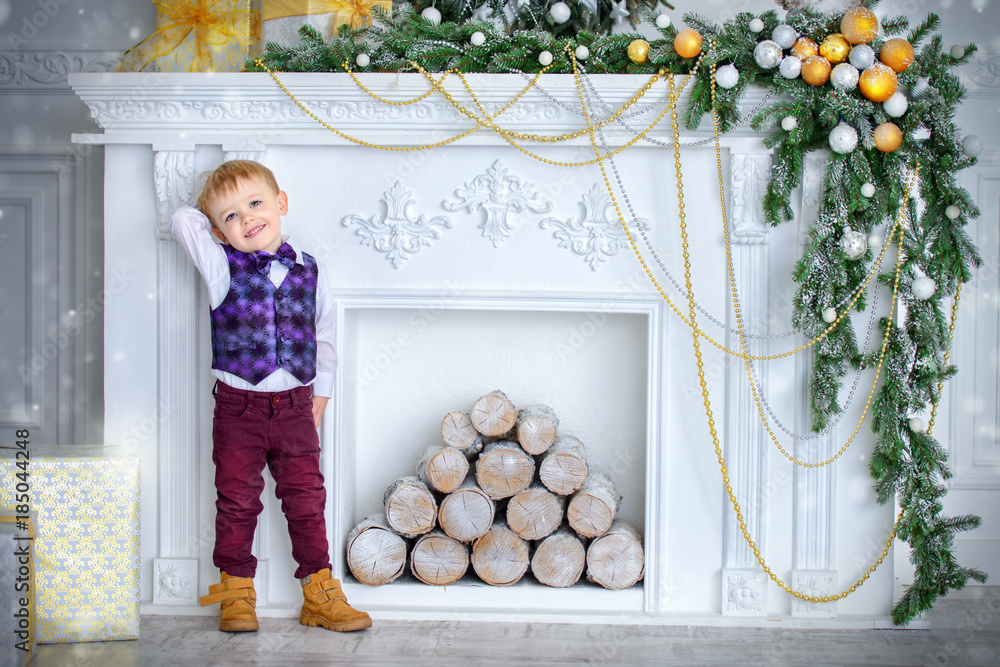 Fototapeta premium poses near fireplace