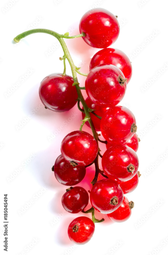 A bunch of red currant on white background.