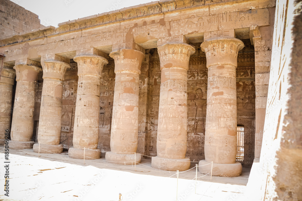 Fototapeta premium Dendera. Egypt. Luxor.
