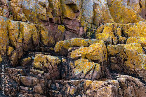 Pointe de l'Arcouest - Cotes d' Armor photo