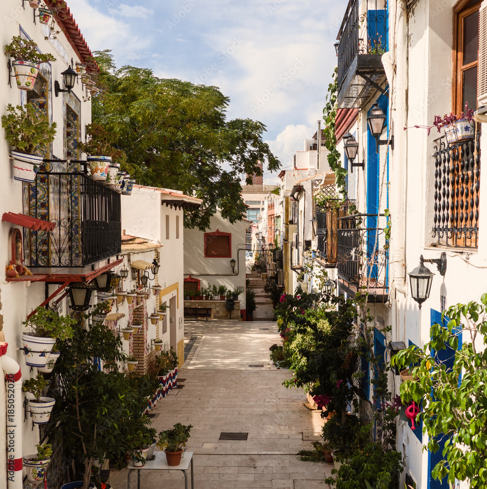 Fototapeta premium city alleys illuminated by the sun and colored by flowers