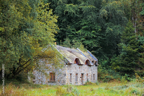Old cottage house in the forest