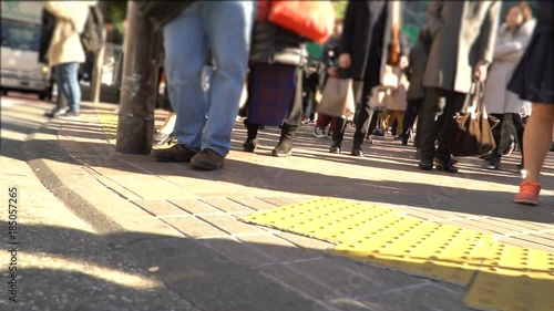 Wallpaper Mural スローモーション　東京・渋谷・スクランブル交差点・12月・休日・ローアングル Torontodigital.ca