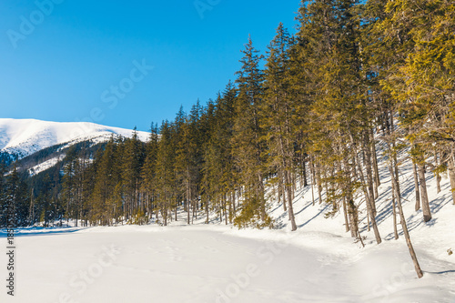 Wallpaper Mural winter in the Tatra Mountains, Koscieliska Valley Torontodigital.ca