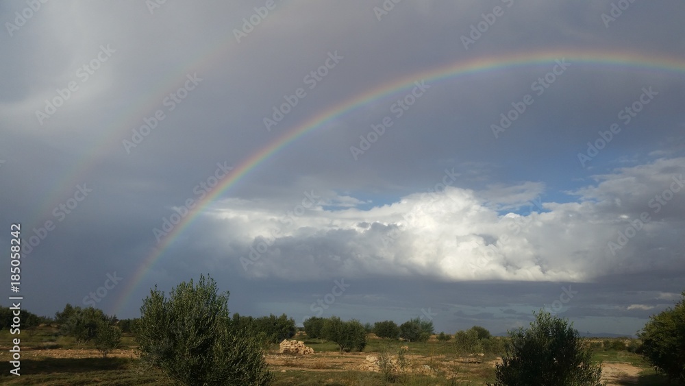 rainbow rainbow
