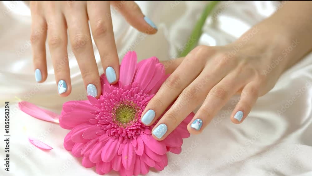 Young hands gently touching pink gerbera. Well-groomed manicured hands and gentle flower on white silk background. Female sensuality and purity concept. Young hands gently touching pink gerbera. Well-groomed manicured hands and gentle flower on white silk background. Female sensuality and purity concept.