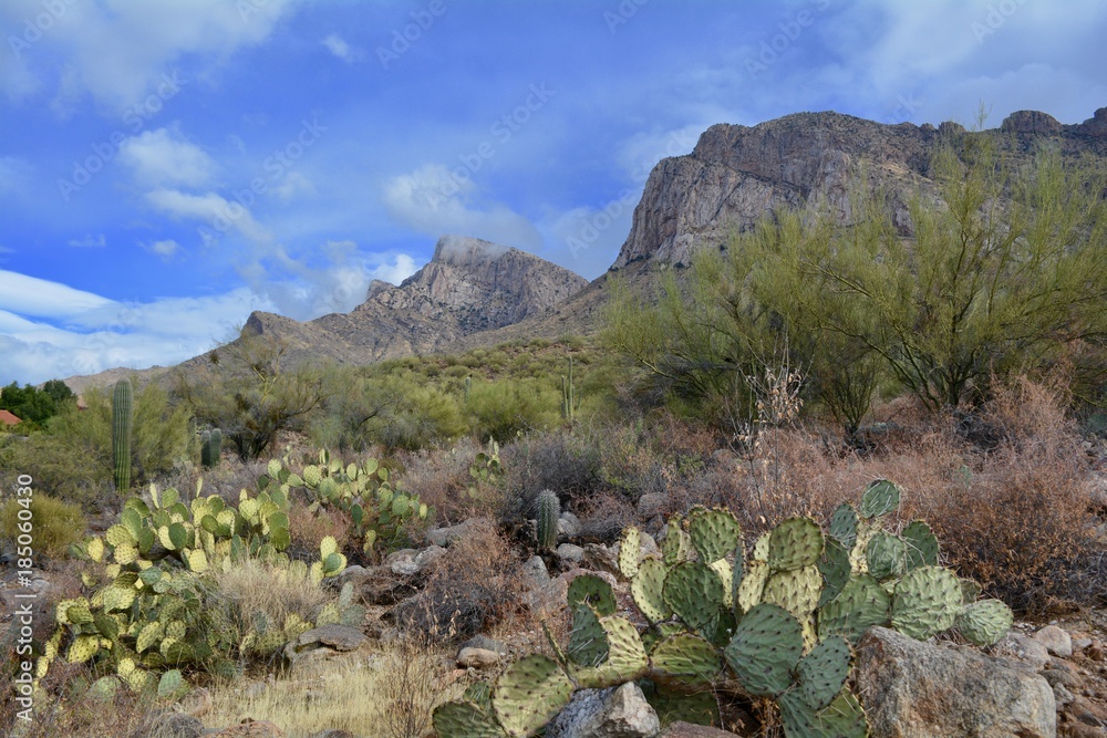 Linda Vista Hiking Trail Oro Valley Arizona Linda Vista Hiking Trail Oro Valley Arizona