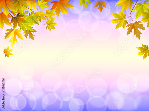 Autumn leaves maple and with papper background
