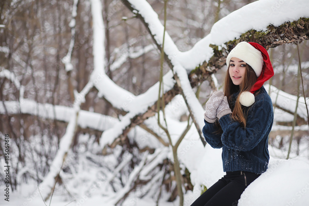 A young girl in a winter park on a walk. Christmas holidays in t A young girl in a winter park on a walk. Christmas holidays in t