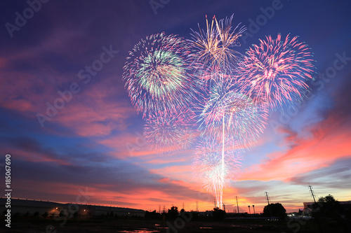 Картината върху платно New year fireworks on twilight sky background.