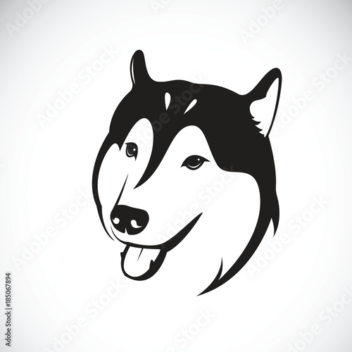 Vector of a dog siberian husky on white background. Pet. Animal.