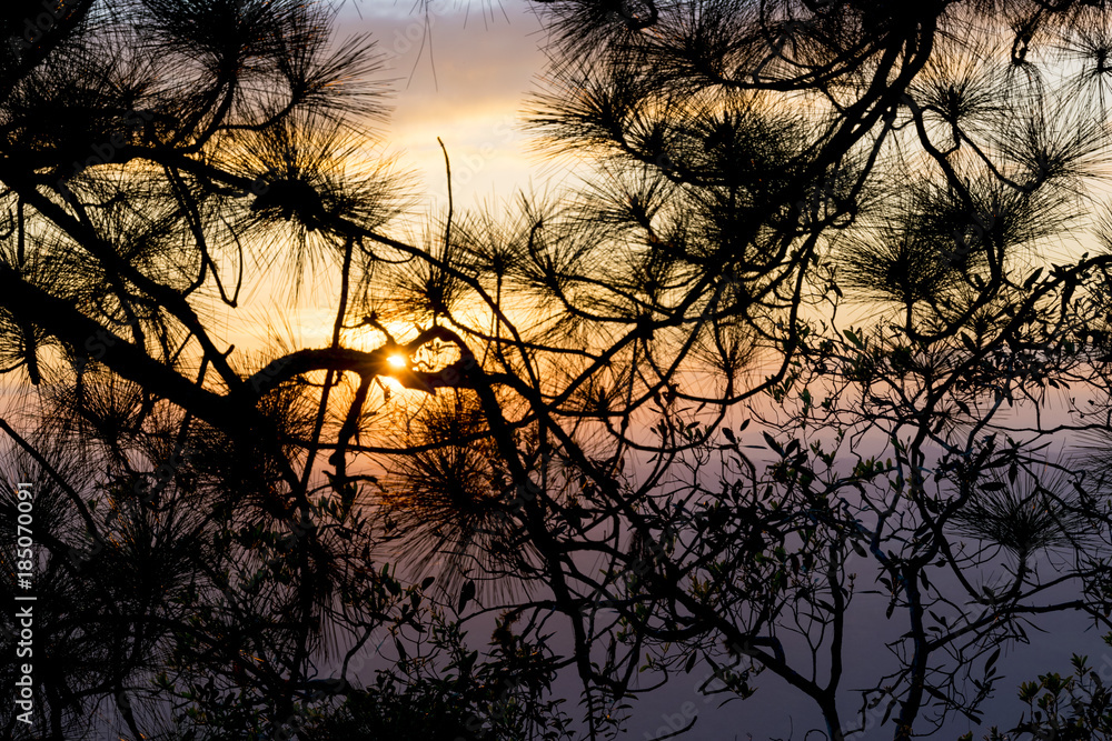 landscape picture of Phu Kradueng National Park Thailand , Thailand landscape picture of Phu Kradueng National Park Thailand , Thailand