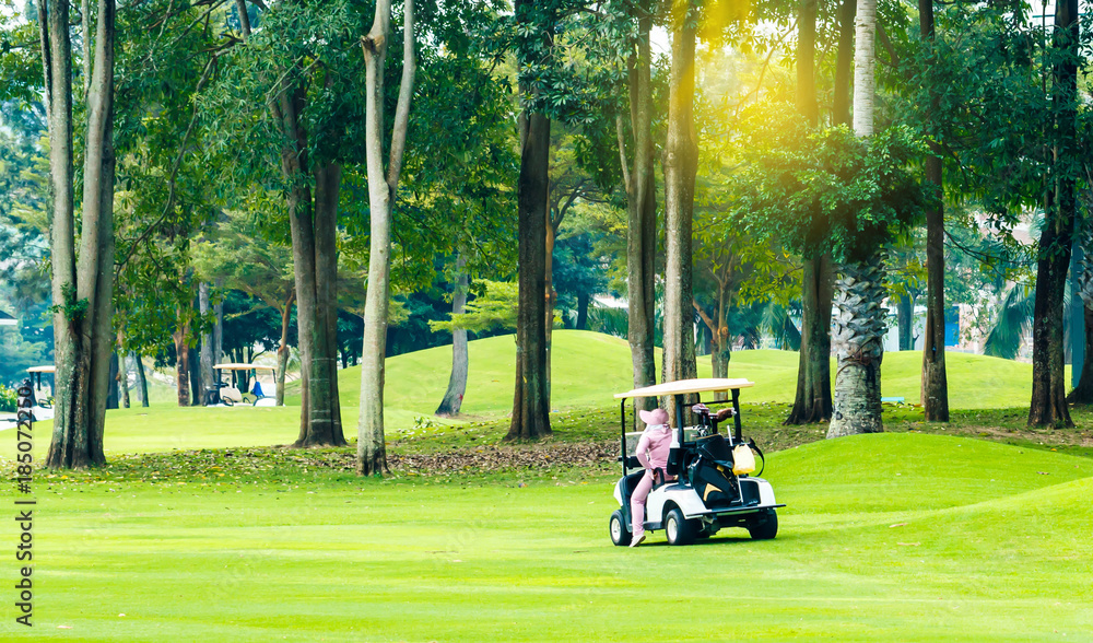 Golf-cart car on grass field of golf course Golf-cart car on grass field of golf course