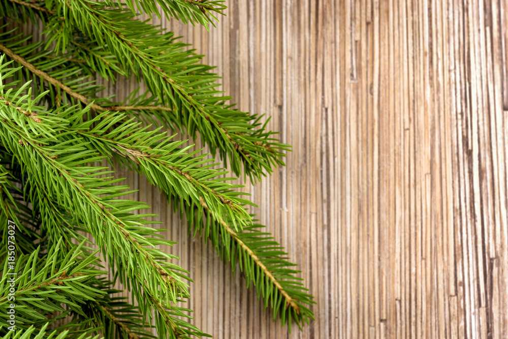 Fir-tree branch Christmas time background