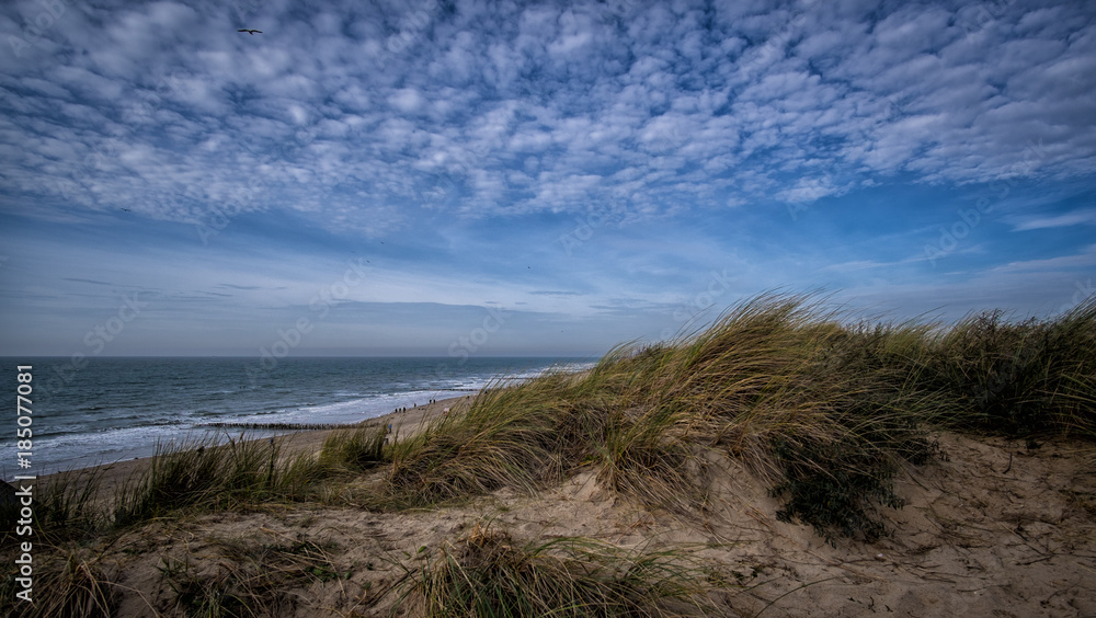 Beautiful view on dunes and blue cloudy sky near Vlissingen, Zeeland, Holland, Netherlands