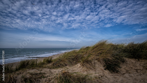 Beautiful view on dunes and blue cloudy sky near Vlissingen, Zeeland, Holland, Netherlands © manovankohr