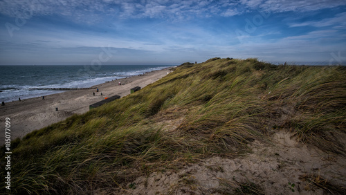 Beautiful view on sandy dunes and blue cloudy sky near Vlissingen  Zeeland  Holland  Netherlands