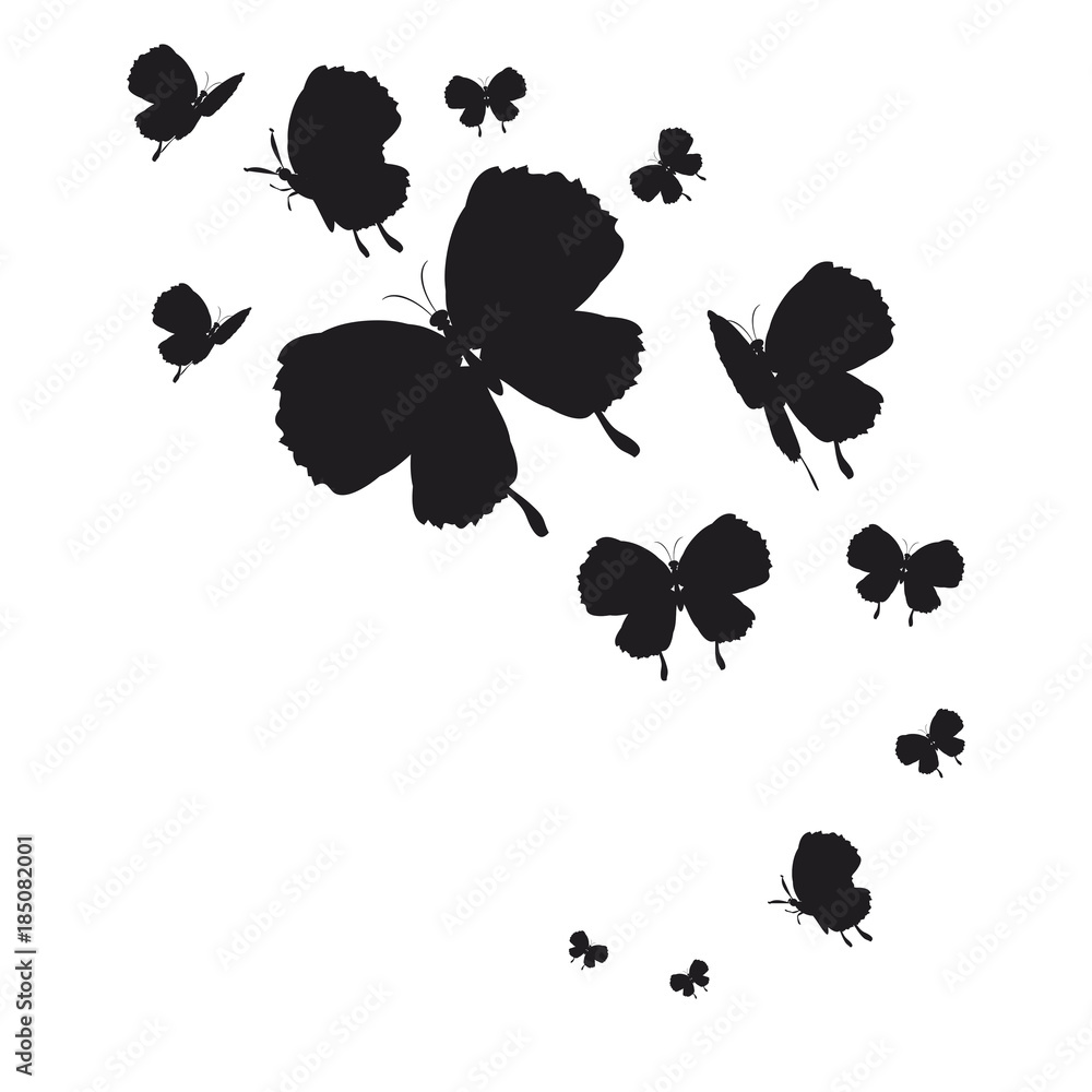 Fototapeta premium 1952