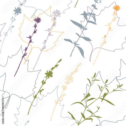 Summer flowers, herbs and leaves floral vector seamless pattern. Realistic botanical background with hand drawn chicory flowers, maple leaves and herbal grasses.