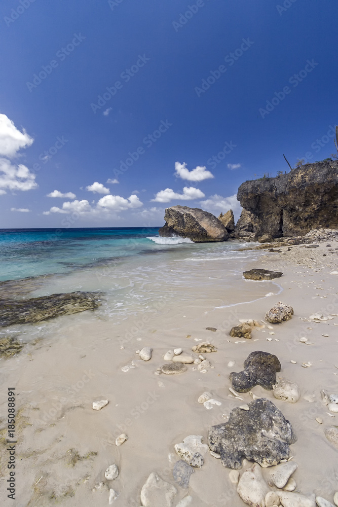 Tropical Beach on Bonaire