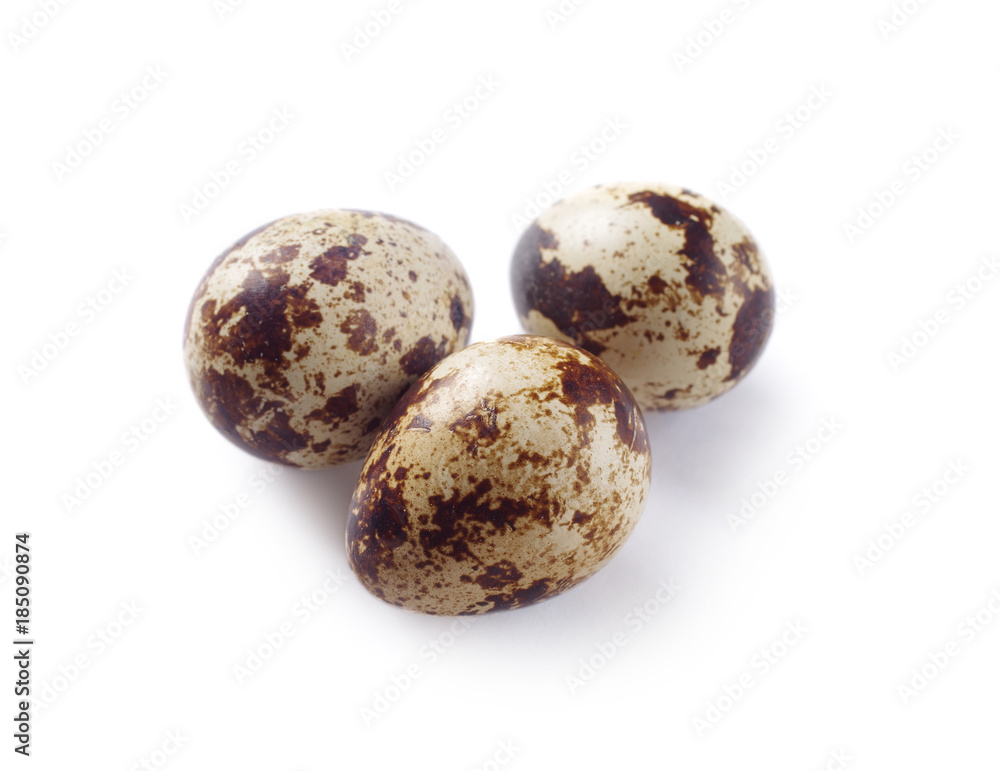 quail egg quail egg