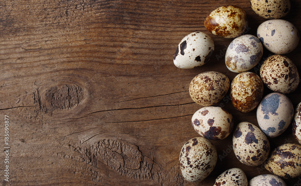 quail eggs quail eggs